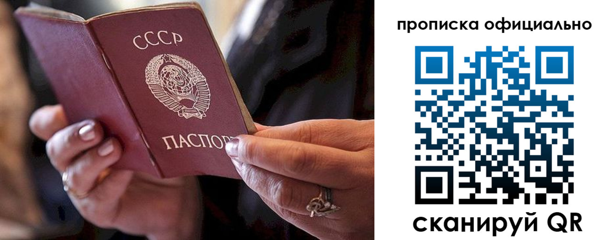 прописка поиск в Сафоново